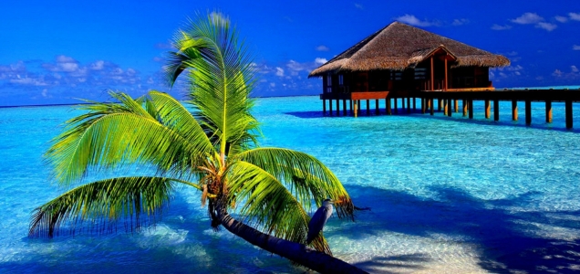 Beach Resort